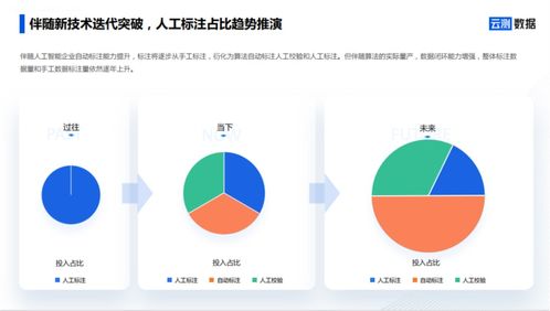 AI數(shù)據(jù)服務(wù) 去偽存真，打通智能駕駛?cè)珗?chǎng)景落地?cái)?shù)據(jù)閉環(huán)